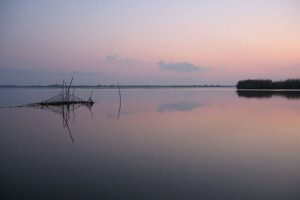 Delta del Danubio en Rumanía 17