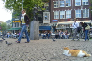 Plaza Spui