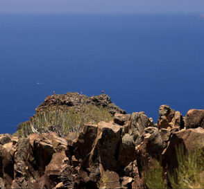 Parque Rural de Teno, hermoso rincón de Tenerife 7