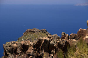 Parque Rural de Teno, hermoso rincón de Tenerife 11