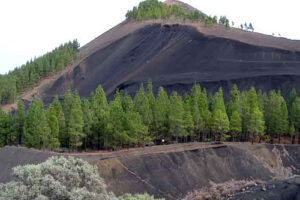 Naturaleza en Islas Canarias: Gran Canarias 7