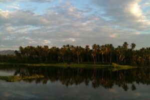 Laguna de Coyuca