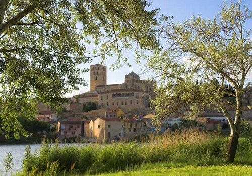 Zamora