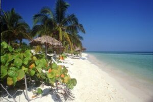 Cayo Guillermo