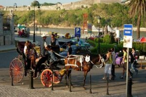 Pasear en coche de caballos por La Habana 1