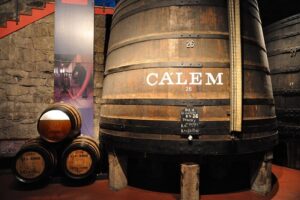 De ruta por las mejores bodegas de Oporto 1