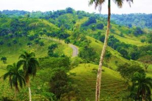 Jamao al Norte, naturaleza en la República Dominicana 8