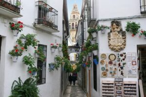 Calleja de las Flores, mítica imagen de Córdoba 9