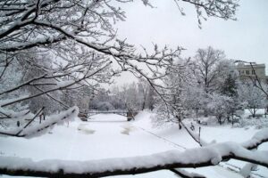 Sao Joaquim, frío y nieve en Brasil 5