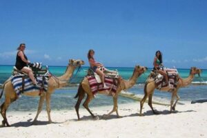 Camel Safari, paseos en camello en la Riviera Maya 10