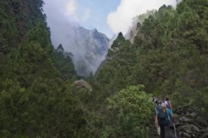 Descubre los encantos de Arafo 7