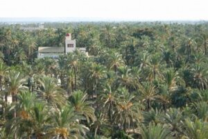 Rincones imprescindibles de Elche 6