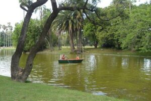 Los Bosques de Palermo en Buenos Aires 8