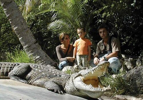 Croco Cun Zoo, paseando entre cocodrilos en Cancún 7