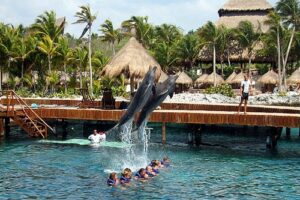 Actividades al aire libre en Cancún 6