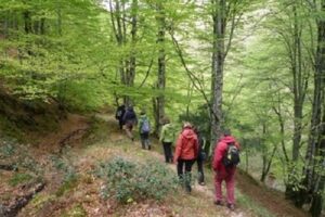 Ruta senderista por Cantabria saja