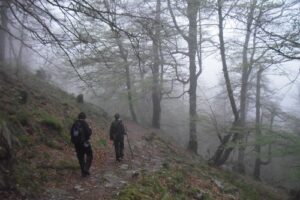 Sendero de Cureñas cantabria