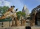 El Zoológico de París abre de nuevo sus puertas 6