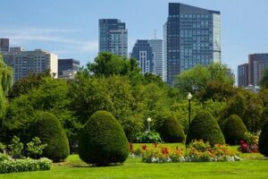Qué ver en Boston 8