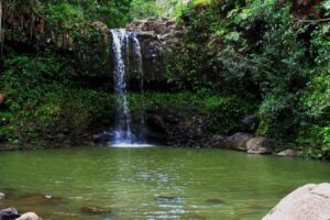 Twin Falls