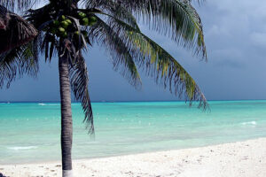 Cuándo viajar a Cozumel, México 5