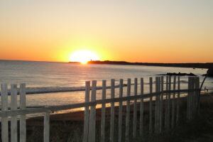 Conil